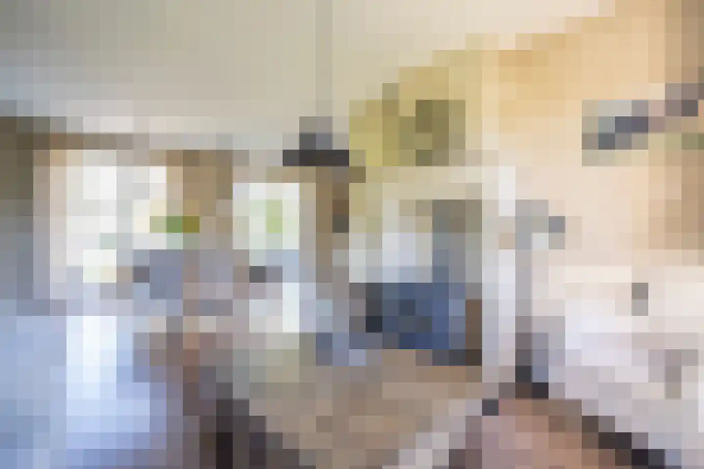 Waaldijk 7 Herwijnen thumbnail 6