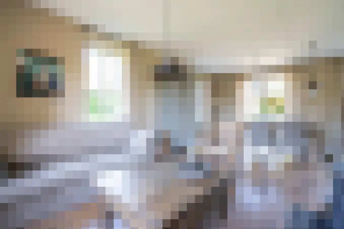 Waaldijk 7 Herwijnen thumbnail 7