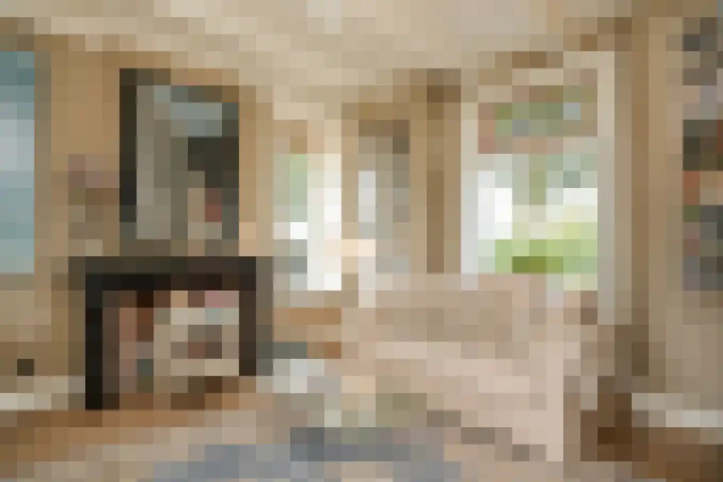 Waaldijk 85 Brakel thumbnail 13