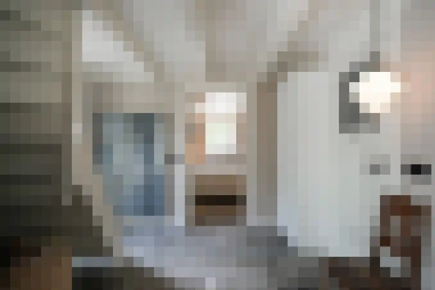 Waaldijk 85 Brakel thumbnail 22