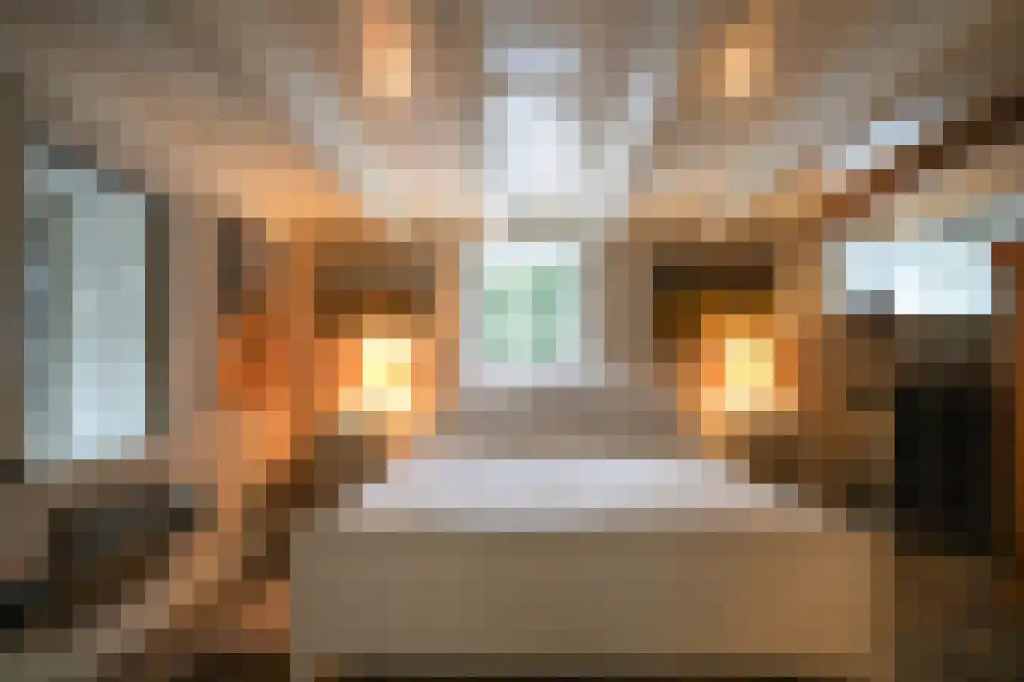 Waaldijk 85 Brakel thumbnail 23