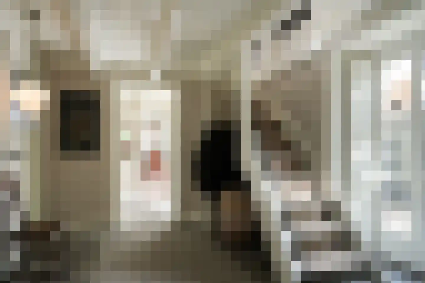 Waaldijk 85 Brakel thumbnail 28