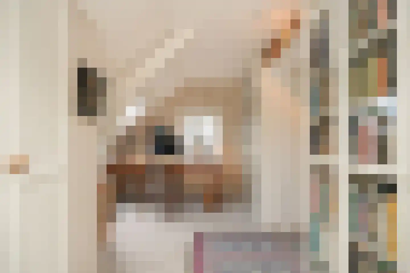 Waaldijk 85 Brakel thumbnail 30