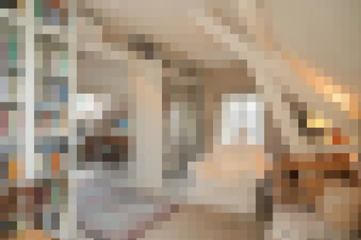 Waaldijk 85 Brakel thumbnail 32