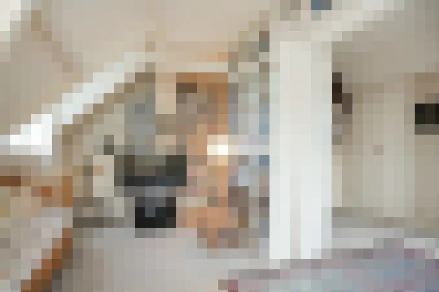 Waaldijk 85 Brakel thumbnail 33
