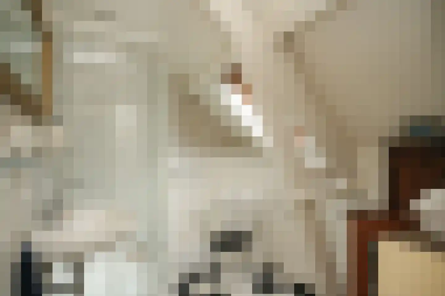 Waaldijk 85 Brakel thumbnail 34