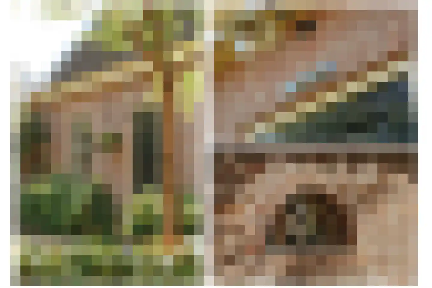 Waaldijk 85 Brakel thumbnail 37