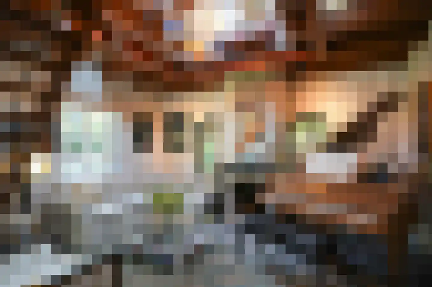 Waaldijk 85 Brakel thumbnail 38
