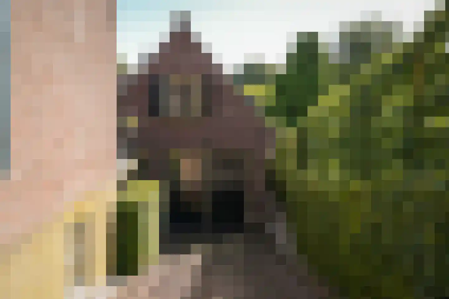 Waaldijk 85 Brakel thumbnail 4