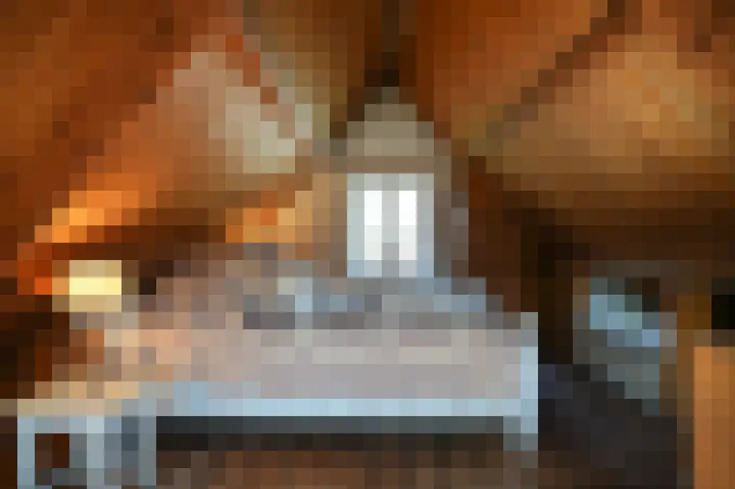 Waaldijk 85 Brakel thumbnail 46
