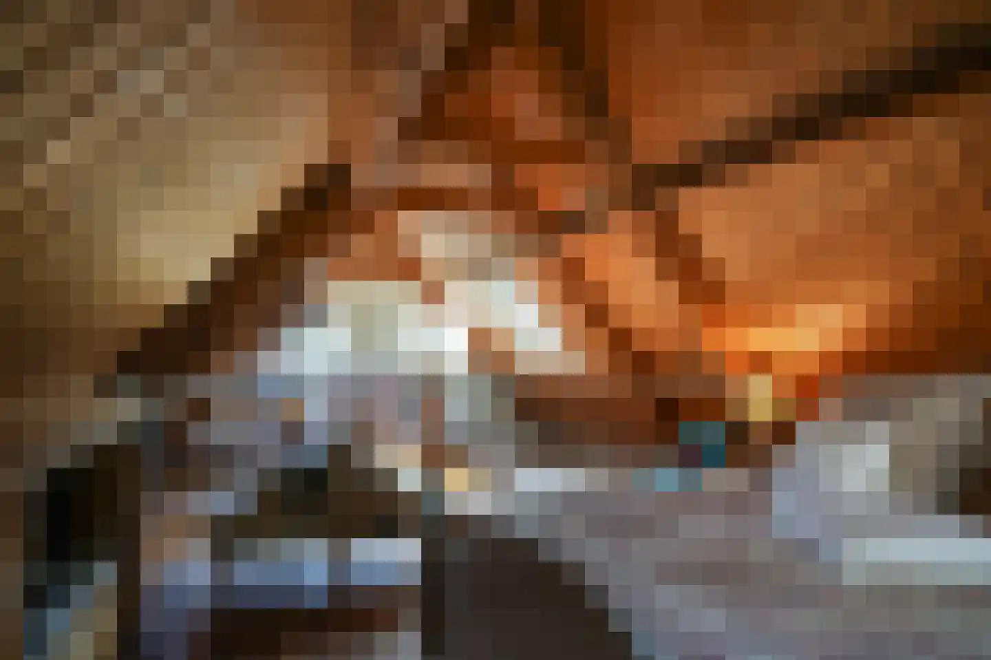 Waaldijk 85 Brakel thumbnail 48