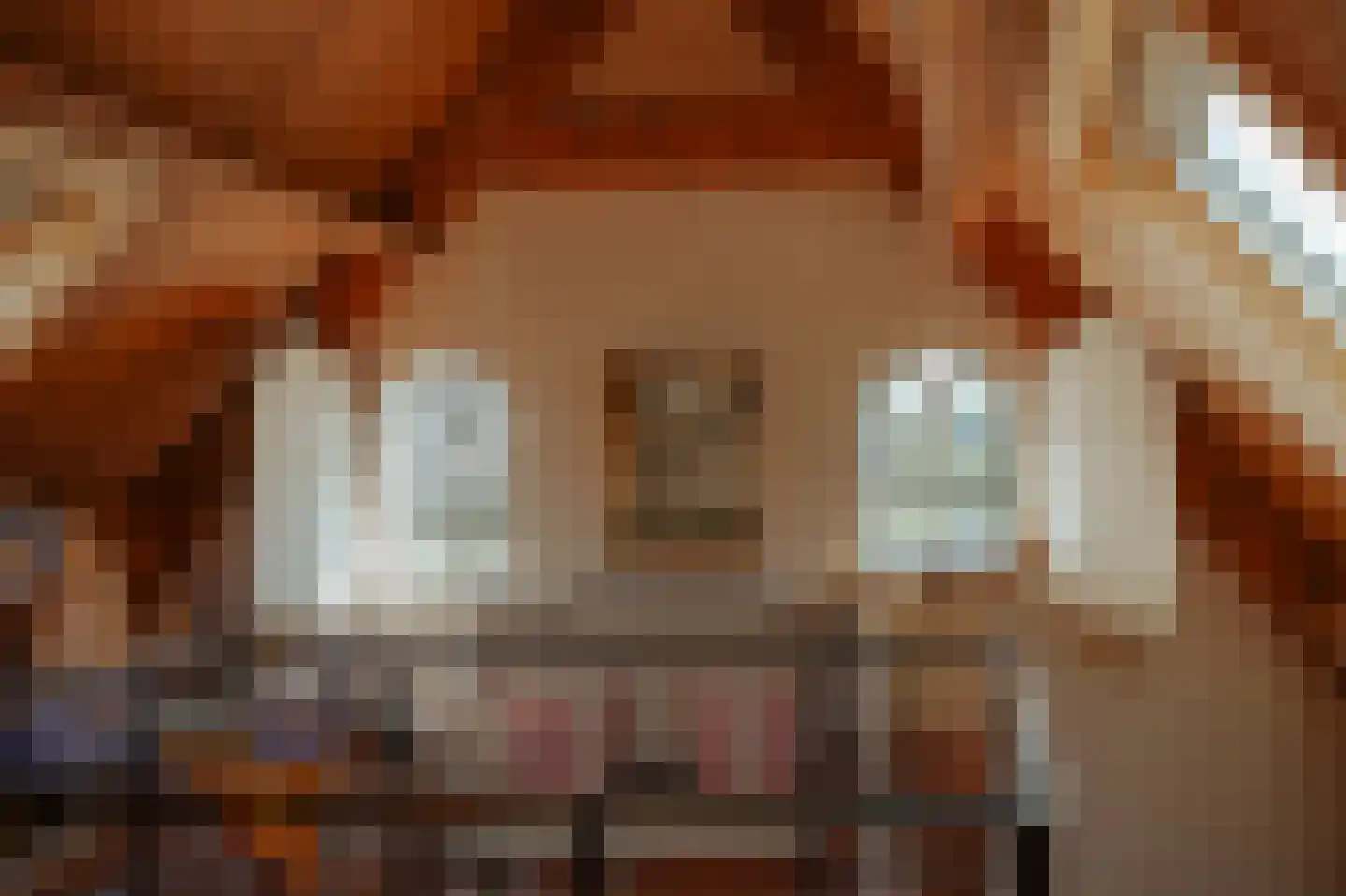 Waaldijk 85 Brakel thumbnail 50
