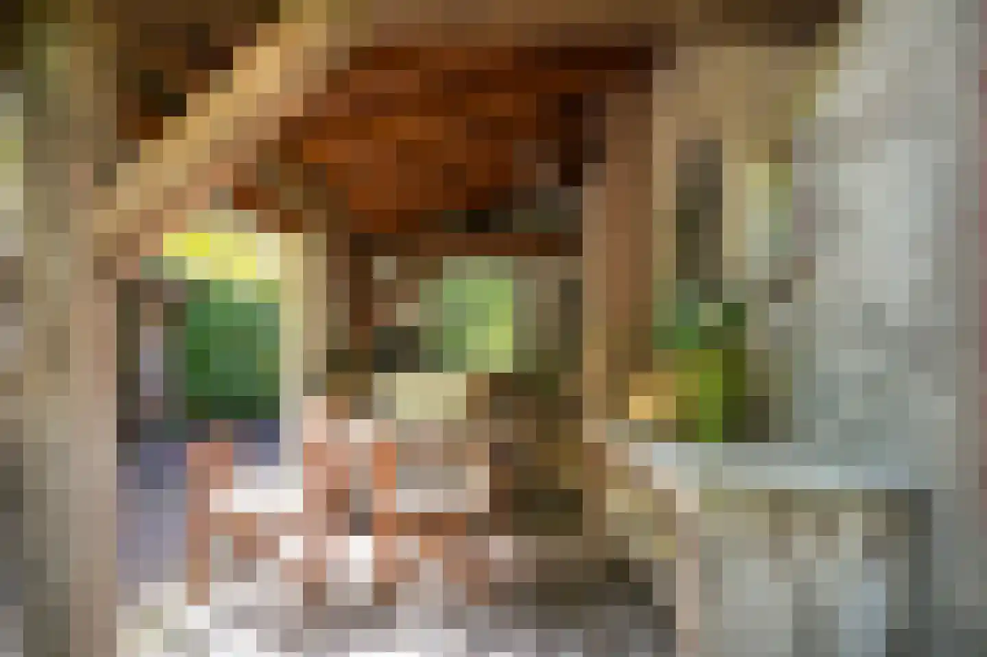 Waaldijk 85 Brakel thumbnail 52