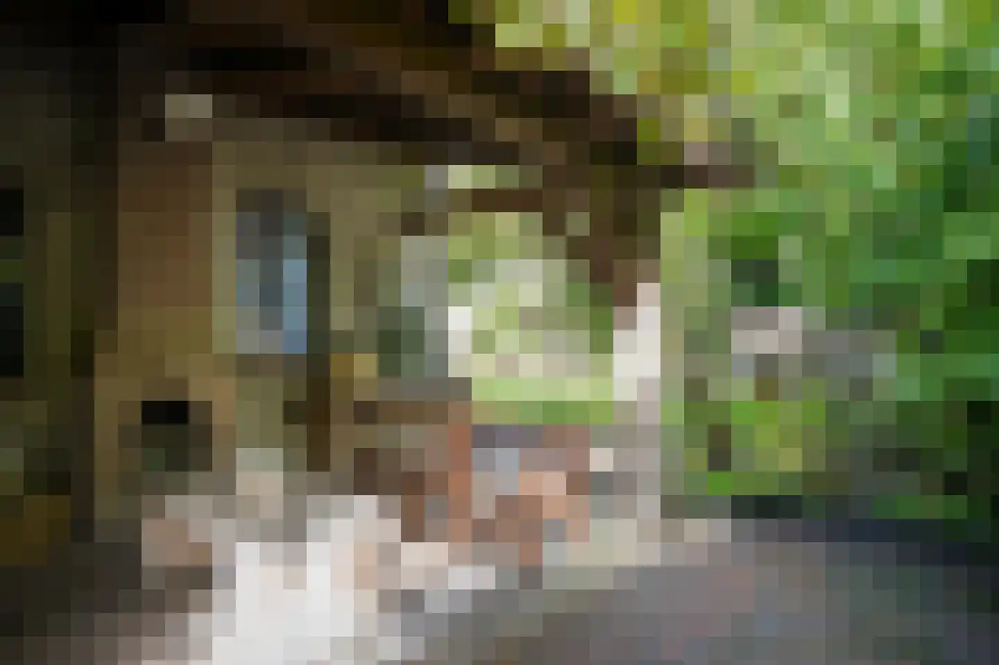 Waaldijk 85 Brakel thumbnail 54