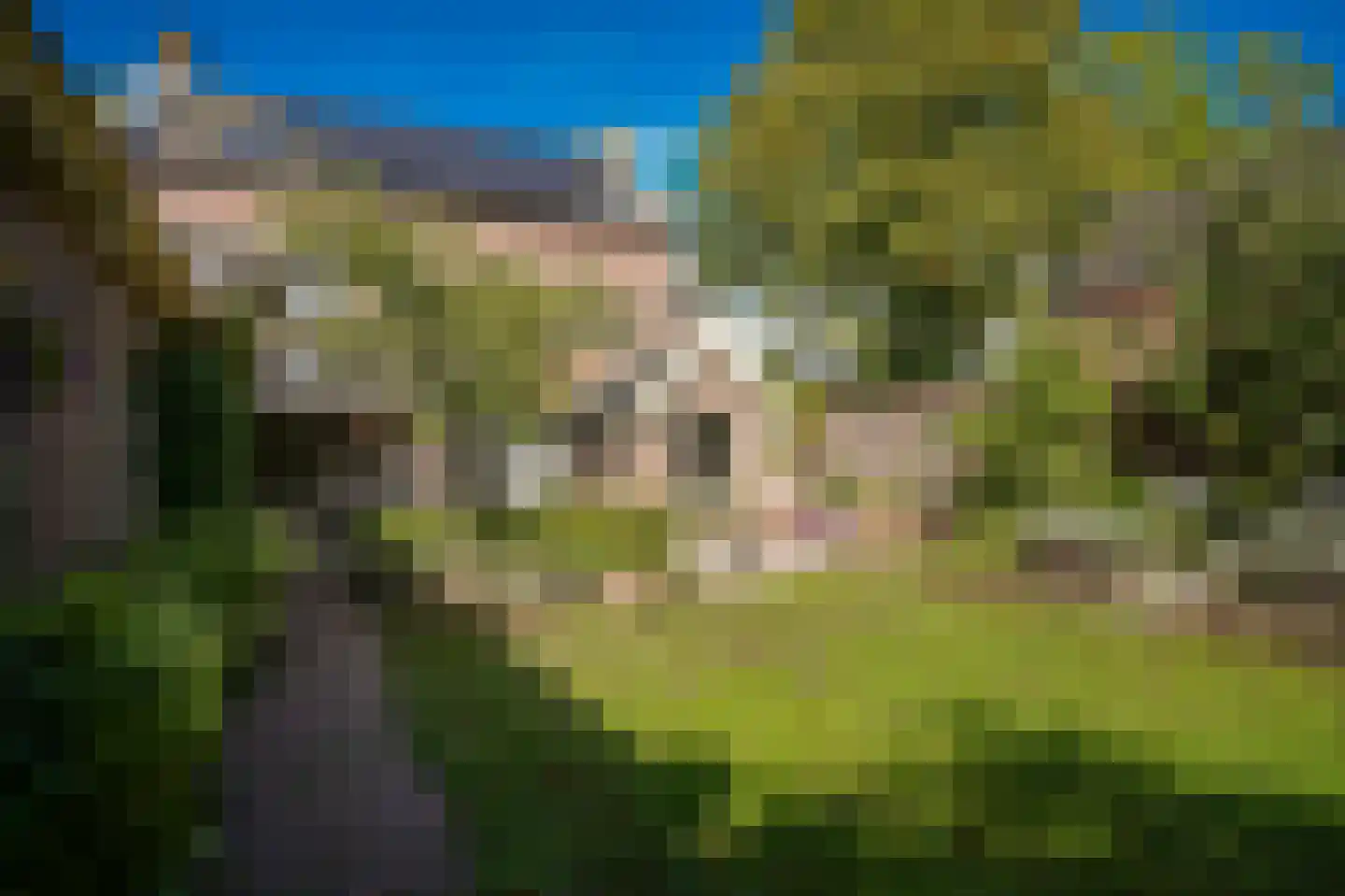 Waaldijk 85 Brakel thumbnail 55