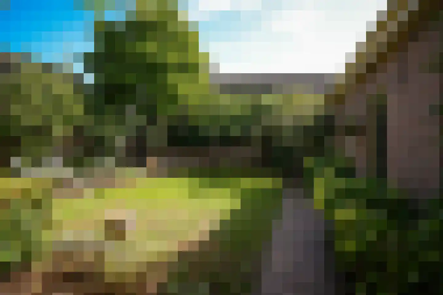 Waaldijk 85 Brakel thumbnail 56