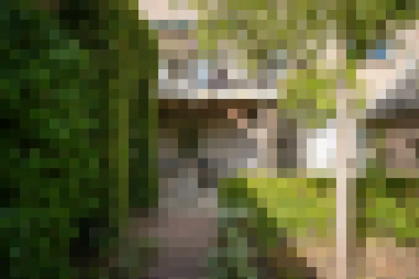 Waaldijk 85 Brakel thumbnail 59