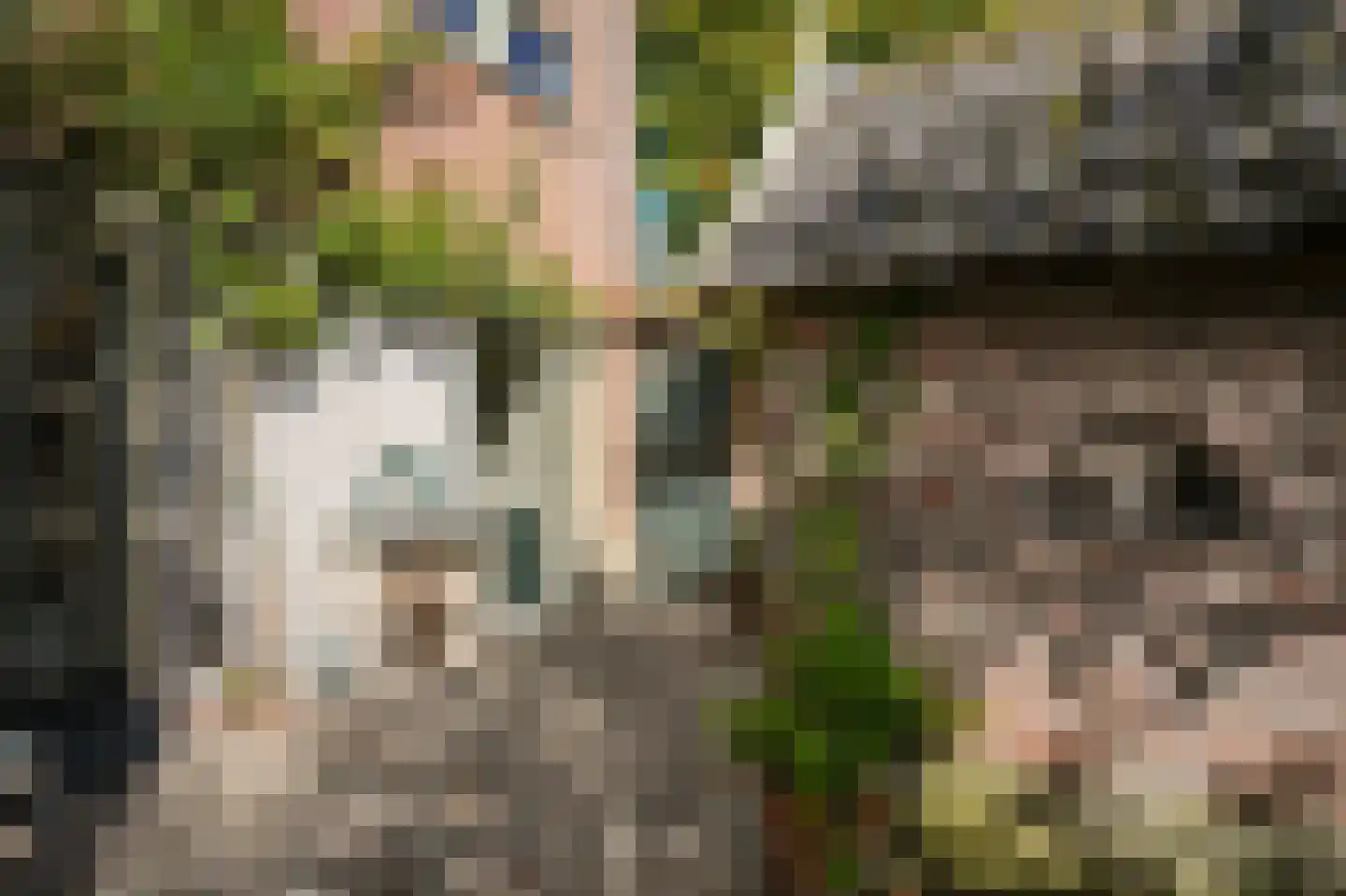 Waaldijk 85 Brakel thumbnail 60