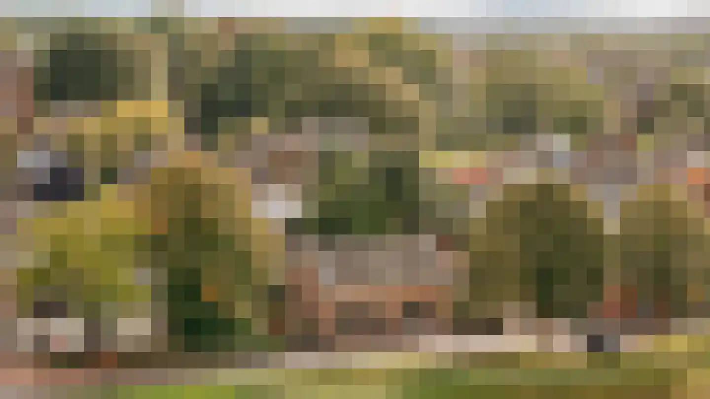 Waaldijk 85 Brakel thumbnail 61