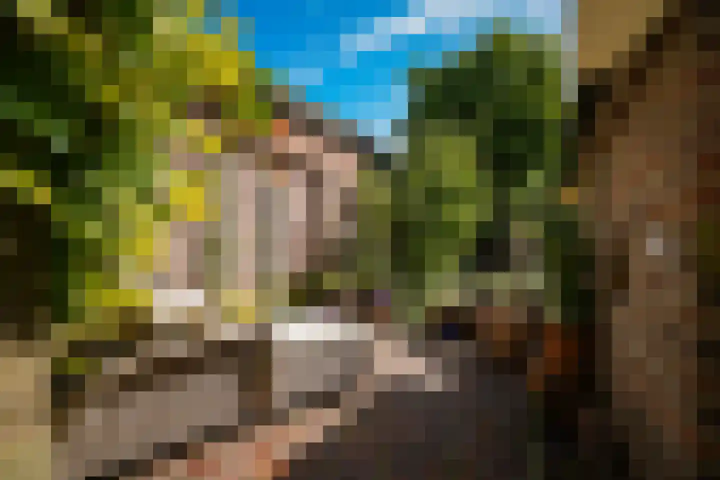Waaldijk 85 Brakel thumbnail 63