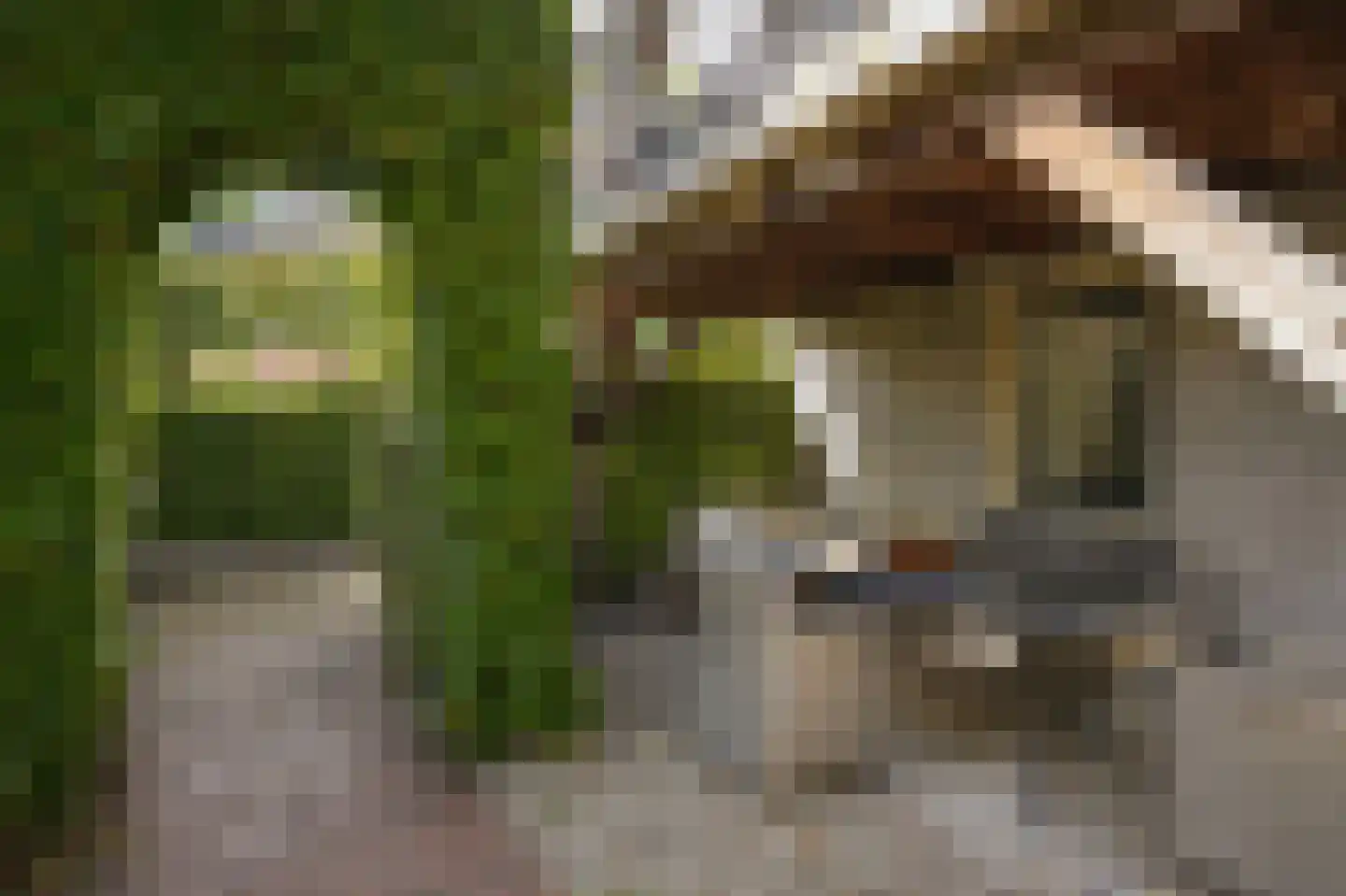 Waaldijk 85 Brakel thumbnail 64