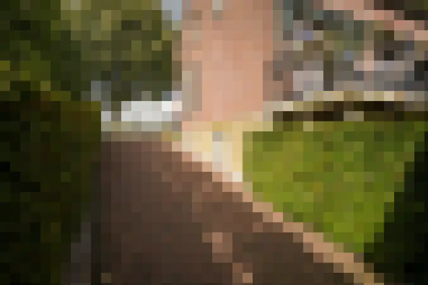 Waaldijk 85 Brakel thumbnail 65