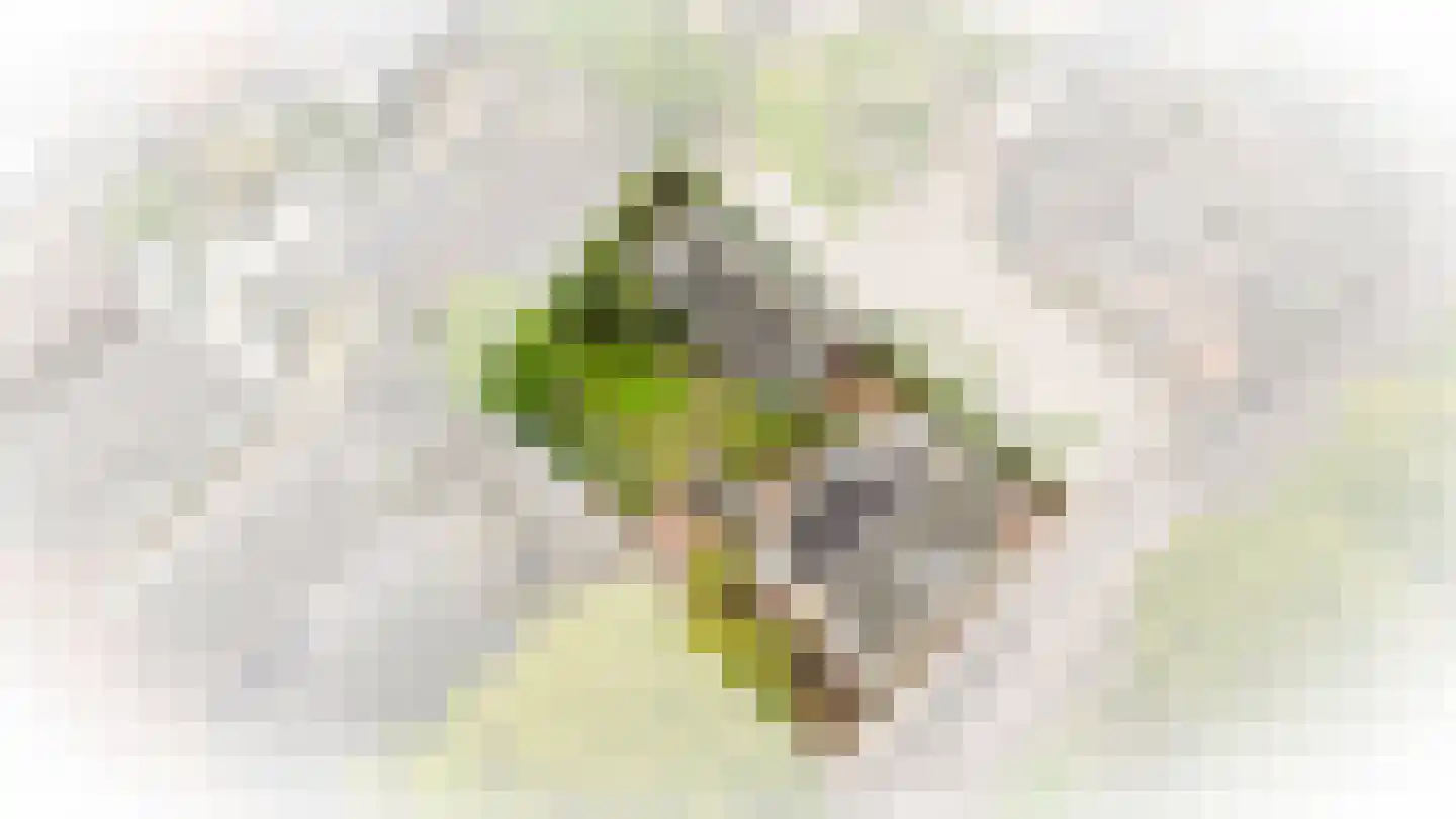 Waaldijk 85 Brakel thumbnail 68