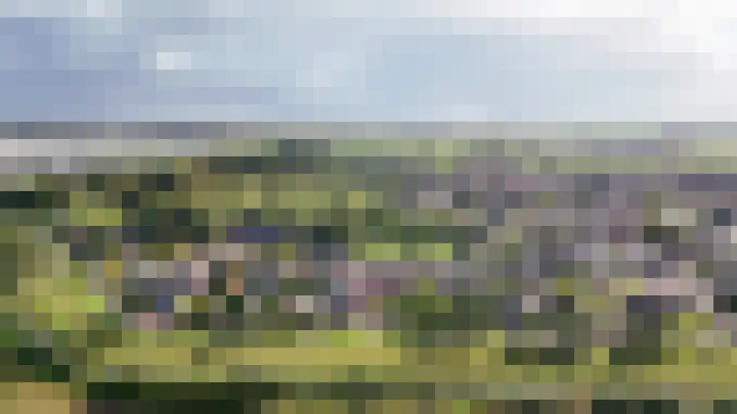 Waaldijk 85 Brakel thumbnail 69