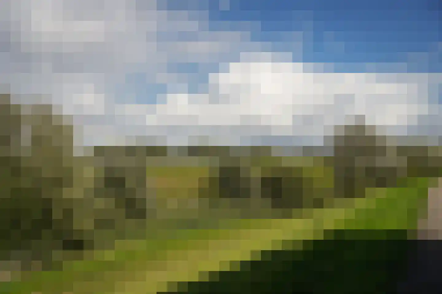 Waaldijk 85 Brakel thumbnail 70