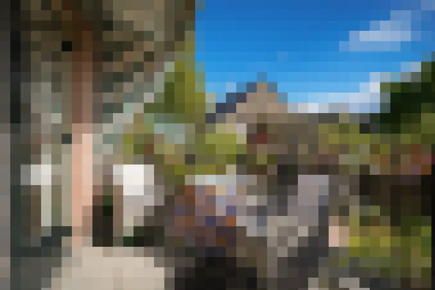 Waaldijk 85 Brakel thumbnail 9
