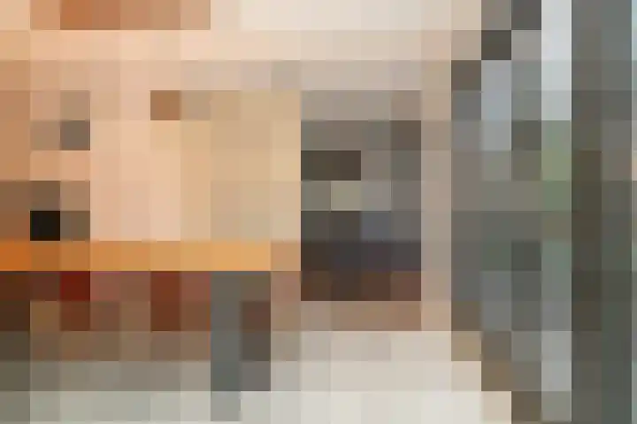 Waaldijk 85 Hurwenen thumbnail 11
