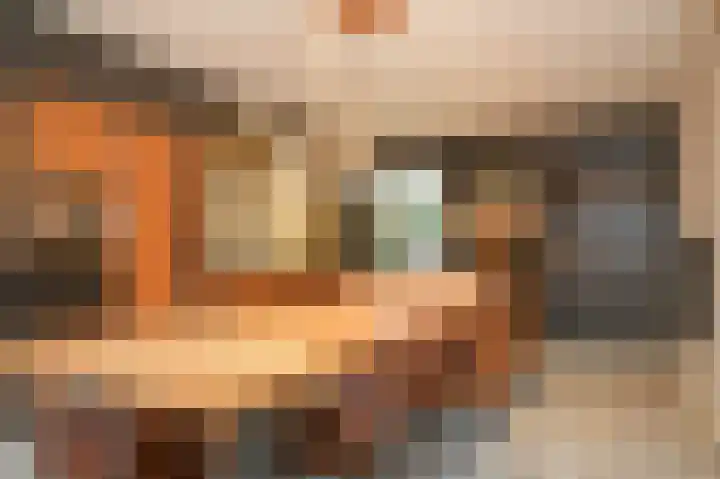 Waaldijk 85 Hurwenen thumbnail 12