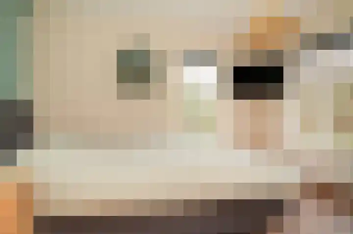 Waaldijk 85 Hurwenen thumbnail 18