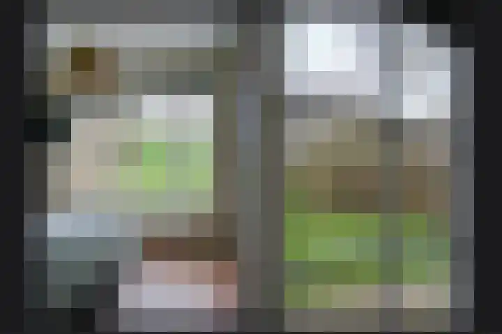Waaldijk 85 Hurwenen thumbnail 19