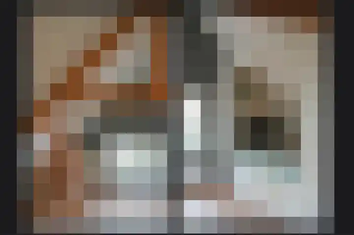 Waaldijk 85 Hurwenen thumbnail 27