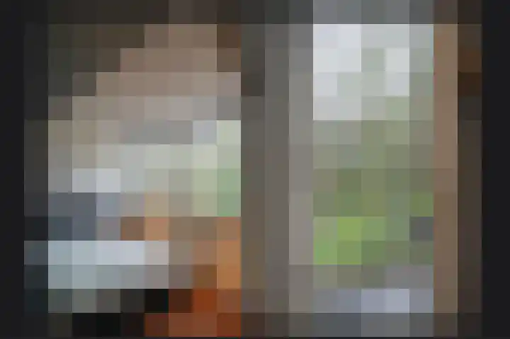 Waaldijk 85 Hurwenen thumbnail 33
