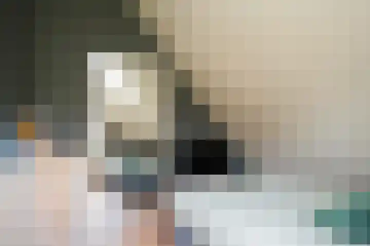 Waaldijk 85 Hurwenen thumbnail 37