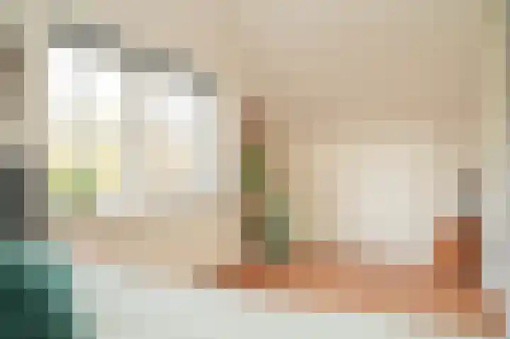 Waaldijk 85 Hurwenen thumbnail 38
