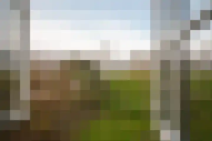 Waaldijk 85 Hurwenen thumbnail 39