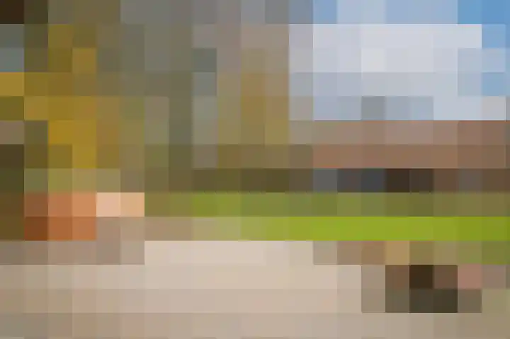 Waaldijk 85 Hurwenen thumbnail 42