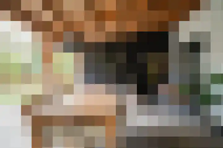 Waaldijk 85 Hurwenen thumbnail 45