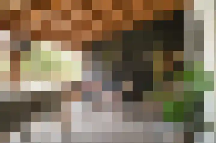 Waaldijk 85 Hurwenen thumbnail 46