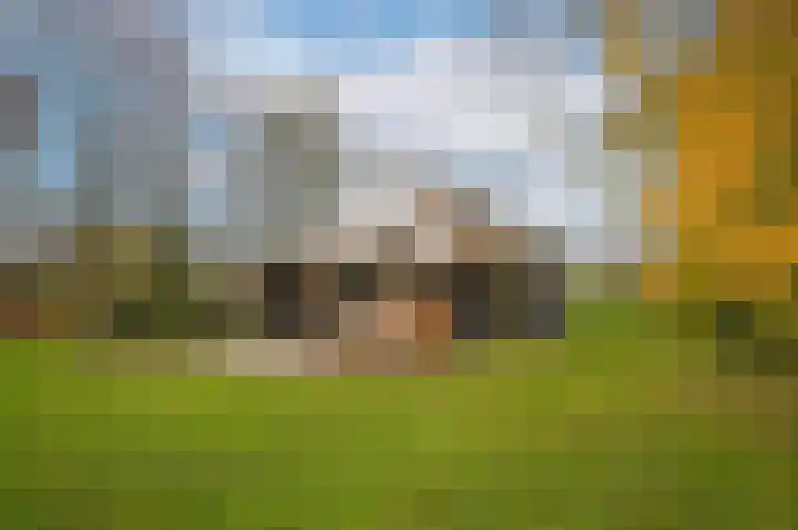 Waaldijk 85 Hurwenen thumbnail 51