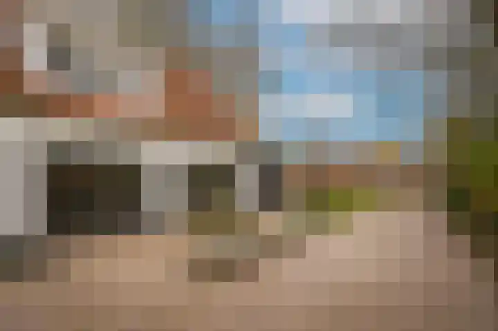 Waaldijk 85 Hurwenen thumbnail 52