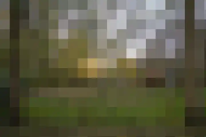 Waaldijk 85 Hurwenen thumbnail 54