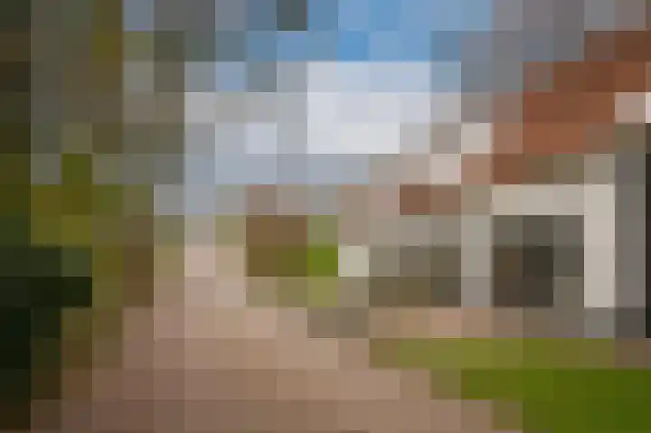 Waaldijk 85 Hurwenen thumbnail 55