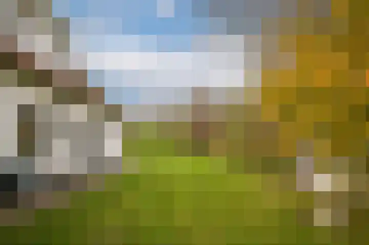Waaldijk 85 Hurwenen thumbnail 56