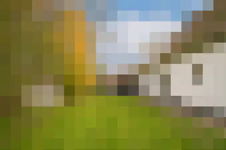 Waaldijk 85 Hurwenen thumbnail 57