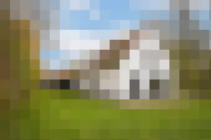 Waaldijk 85 Hurwenen thumbnail 58