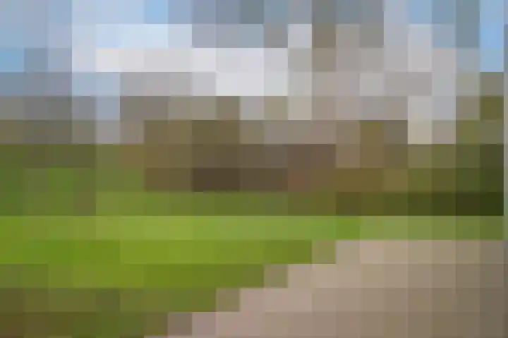 Waaldijk 85 Hurwenen thumbnail 59